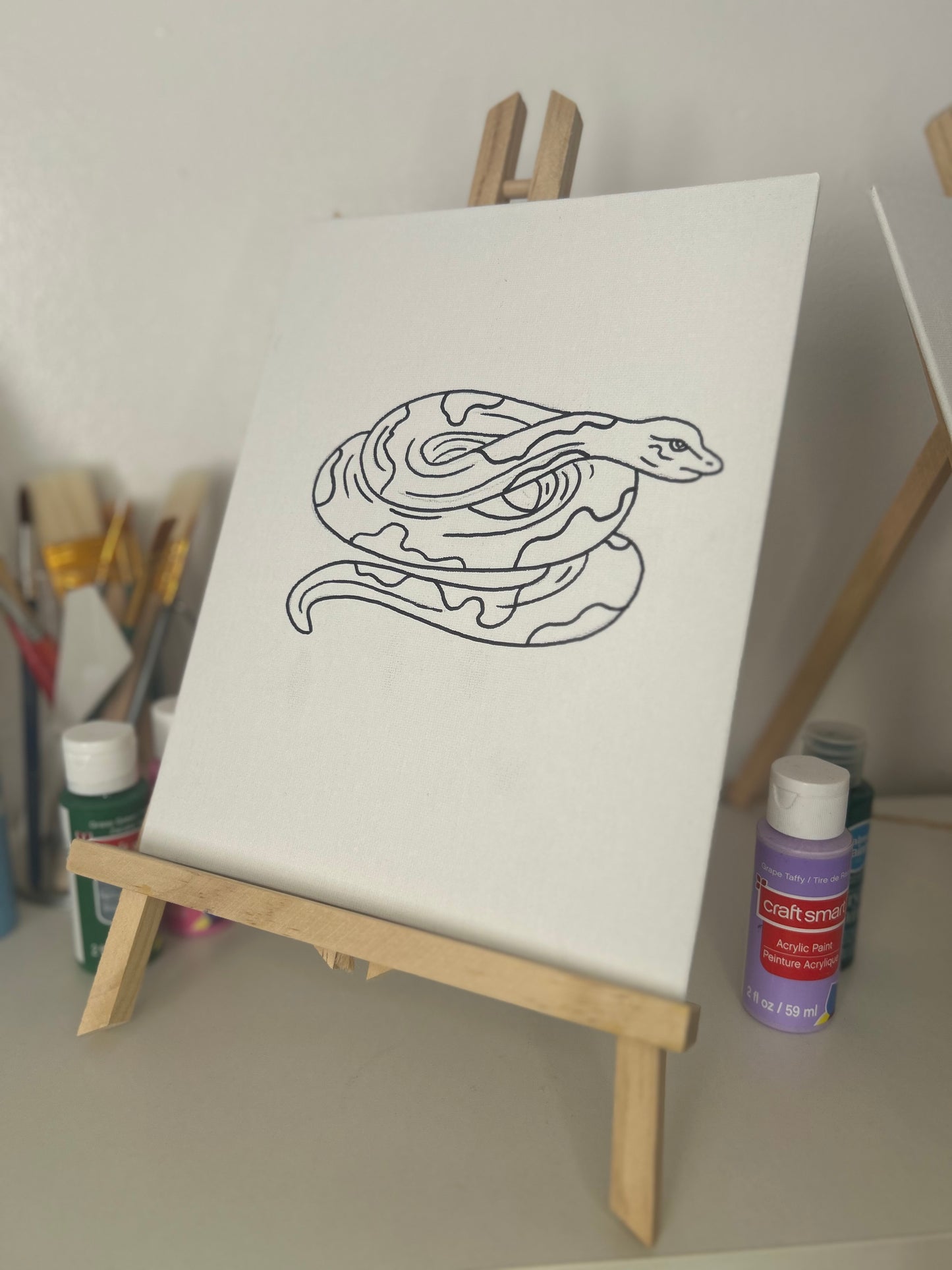 Snake Paint Kit