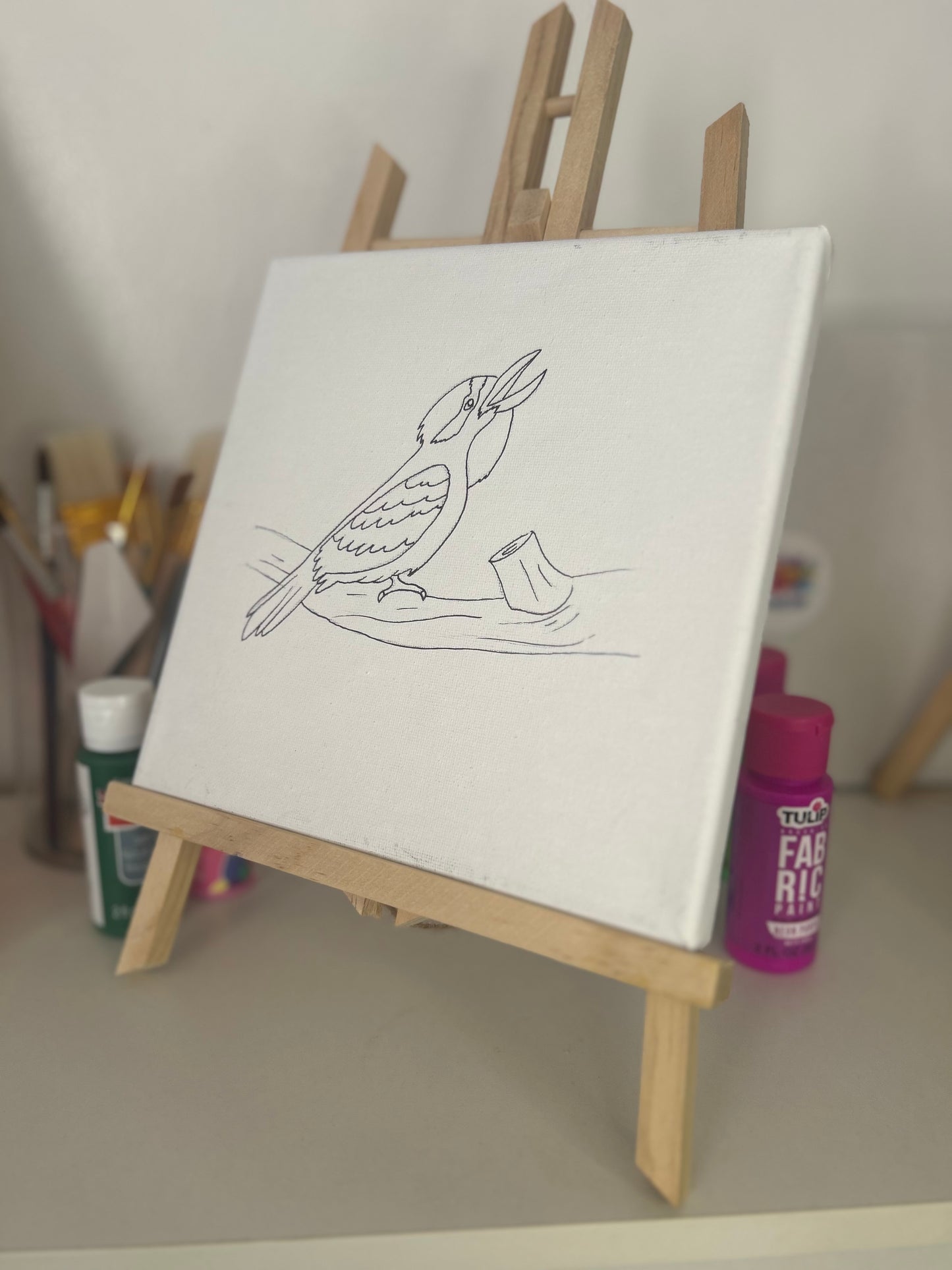 Bird Paint Kit