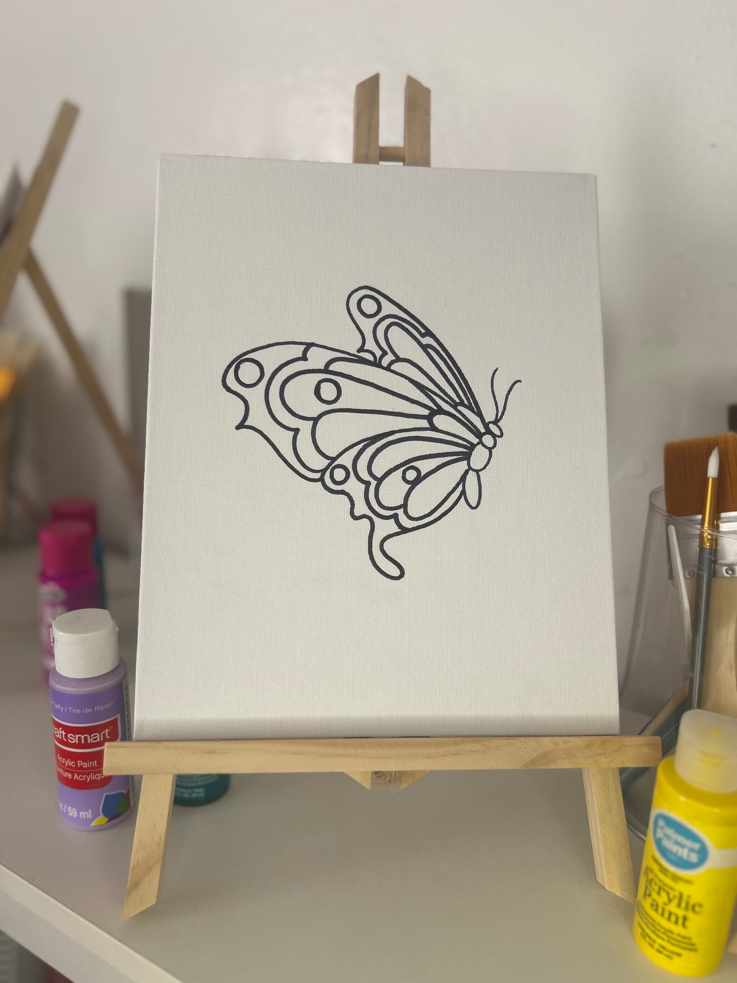 Butterfly Paint Kit