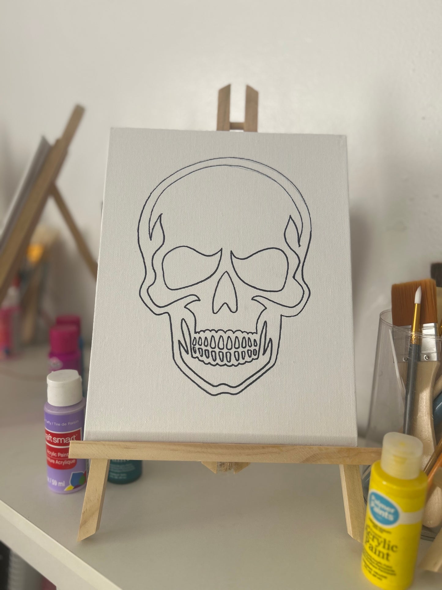 Skull Paint Kit