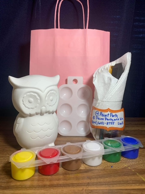 Owl Paint Kit